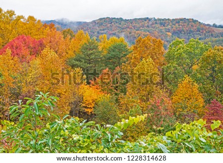 Smoky Mountains scenic overlook in fall colors. Royalty-Free Stock Photo #1228314628