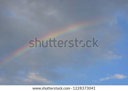 The rainbow curves in the blue sky after rain. The phenomenon of refraction of light on the field during the early cold rain.
