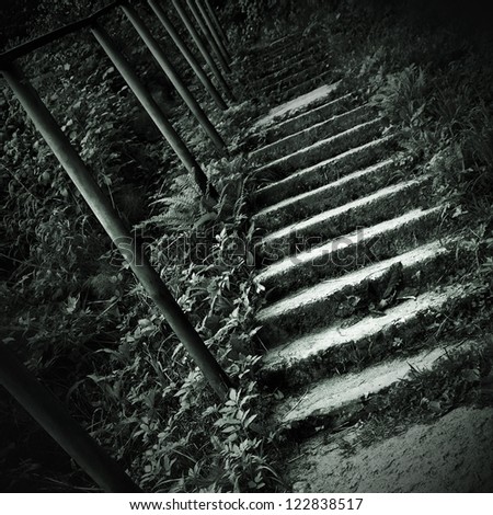 Old concrete stairs in the forest. Monochrome green toned photo