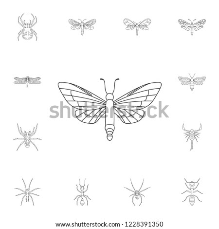 Butterfly icon. Simple element illustration. Butterfly symbol design from Insect collection set. Can be used for web and mobile
