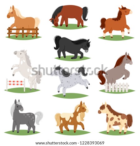 Cartoon horse vector cute animal of horse-breeding or kids equestrian and horsey or equine stallion illustration childly animalistic horsy set of little pony character isolated on white background