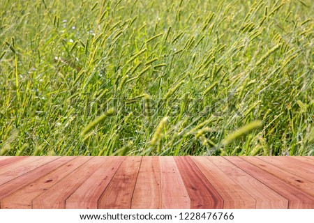 A picture of a wooden desk in front of an abstract background of a grass flower.