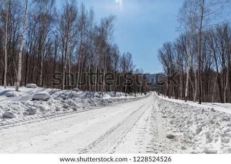 snow road in changbai mountain