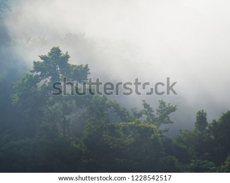 Mist and mountains in the morning in winter. Good to go to nature.Soft focus and blur.