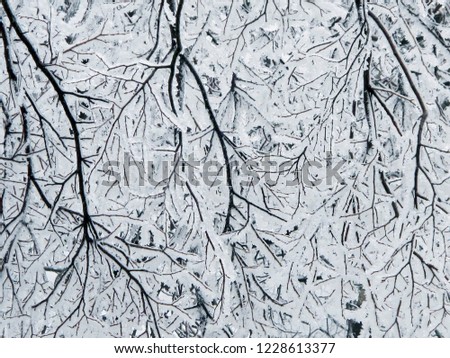  Freezing rain in the city in winter                         