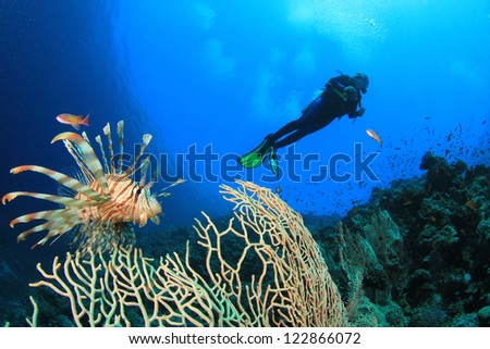 Lionfish and Scuba Diver in ocean