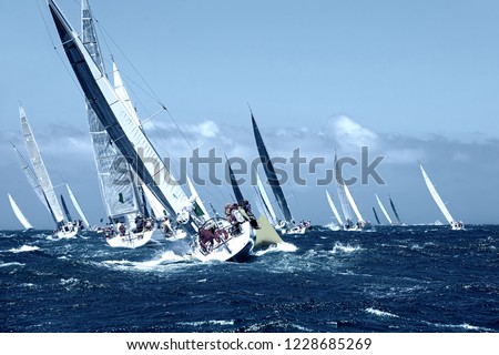 Sailboats yachts under sail with spinnakers at the regatta. Sailing yacht race. Yachting Royalty-Free Stock Photo #1228685269