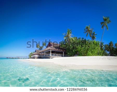 Stingray on the Maldives. Tropical island in the turquoise lagoon. Maldives island Royalty-Free Stock Photo #1228696036