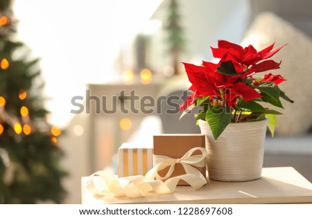 Christmas flower poinsettia with gift boxes on light table Royalty-Free Stock Photo #1228697608