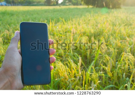 Use mobile at rice farm.