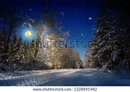 Christmas background with stars and big moon in winter forest.