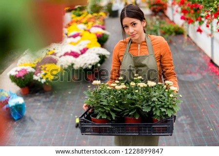 Gardener holding a crate full of flowers