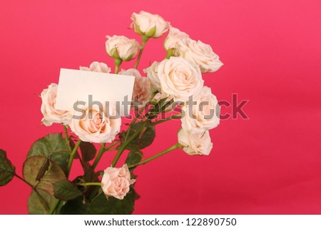 Studio image of delicate beautiful roses bouquet