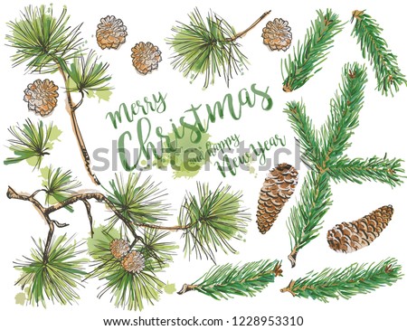 Pine branch and spruce branch elements with cone set, doodle. Hand drawn illustration Merry Christmas greeting card. Holiday design for calendars, posters, prints, invitations.