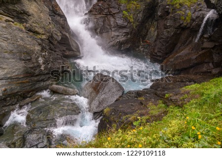 Close-up of a waterfall among rocks with wild flowers in Italian Alps, Lillaz, Aosta Valley, Italy