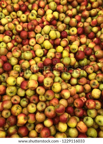 autumn red apples harvest for food textures
