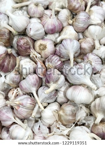 garlic harvest for food textures