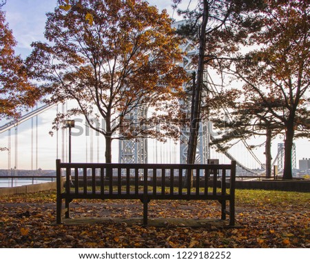 Park Bench Looking at the Bridge in Autumn