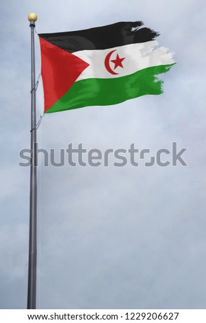 Worn and tattered Western Sahara flag blowing in the wind on a cloudy day