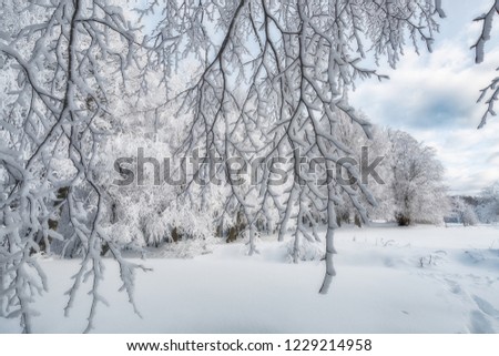 Beautiful winter landscape. Background winter images.  Domanic, Uludag, Bursa, Turkey.