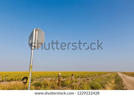Stop sign on country road in Texas, USA