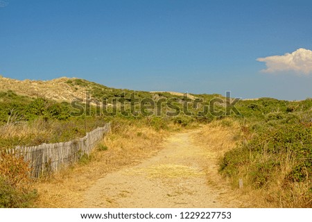 Path through the dunes along the Opal North Sea coast, Nord pas de Calais, France, on a sunny day with clear blue sky 