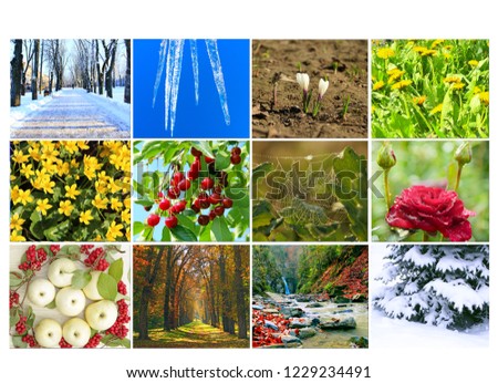 Blank with different twelve colored images of nature for calendar. Ready photo for calendar. Pictures for yearly calendar. Placard for office