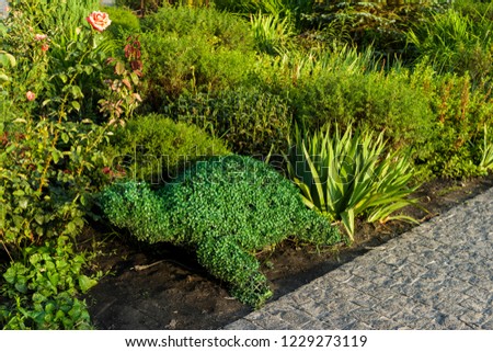 flower bed with a trimmed green