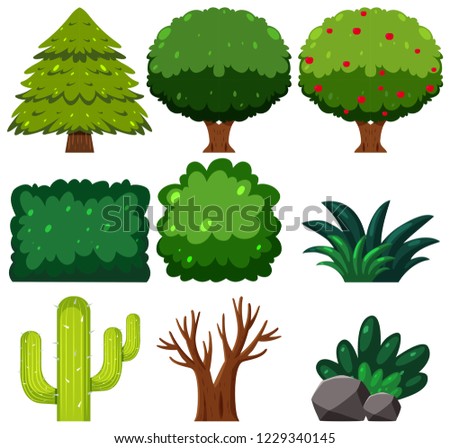 Set of green plant illustration
