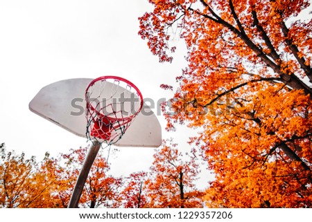 TORONTO PARK WITH BASKETBALL NET IN FALL/AUTUMN - Beautiful, wide angle, colorful park setting with basketball net in foreground. Red and orange fall leaves and foliage. Toronto, Ontario, Canada