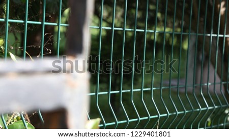 Iron cage in the garden