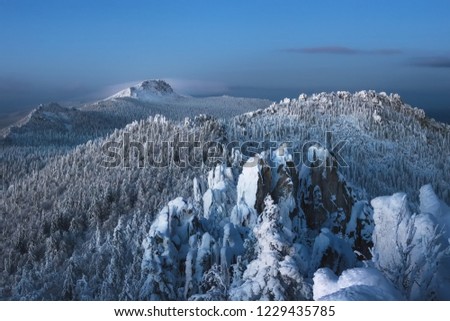 frosty evening in the mountains, clear sky trees in snow