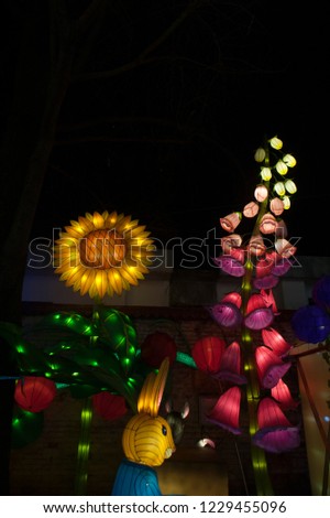 Flowers at Zigong lantern festival