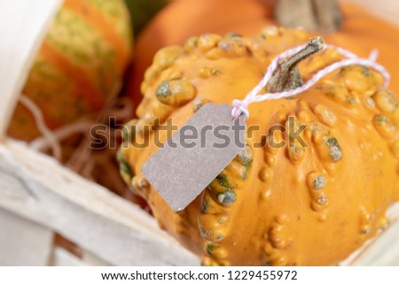 Paper label hanging at a ornamental pumpkin