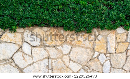 Beautiful photophone, wall with rough masonry and green grass, background