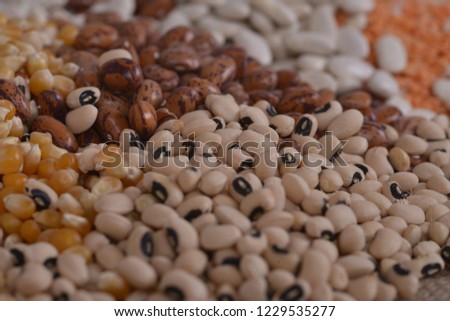 dried food, various legumes seed
