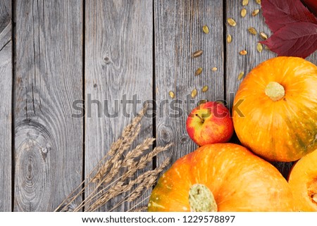 Autumn harvest Thanksgiving pumpkins, apples, wheat ears and fallen leaves on wooden background. Top view with copy space. Seasonal Fall Food.