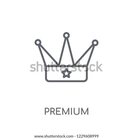 Premium linear icon. Modern outline Premium logo concept on white background from Productivity collection. Suitable for use on web apps, mobile apps and print media.