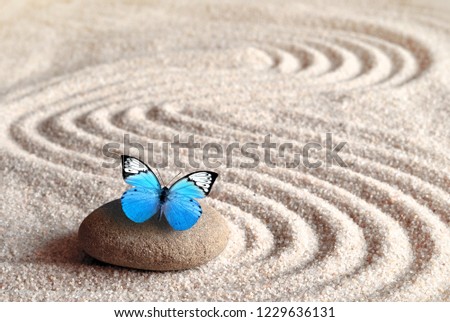 A blue vivid butterfly on a zen stone with circle patterns in the grain sand.