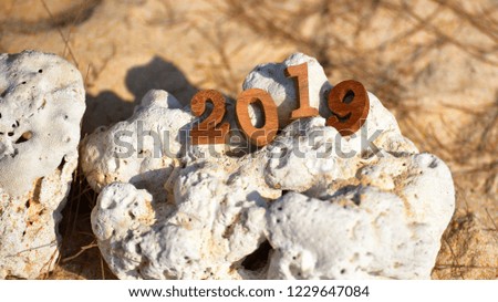 Wood number 2019 on coral background, happy new year concept and coral decorative idea