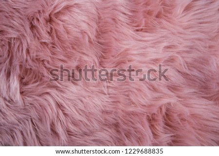 Pink sheepskin background. Fur pattern. Wool texture. Sheep fur close up
