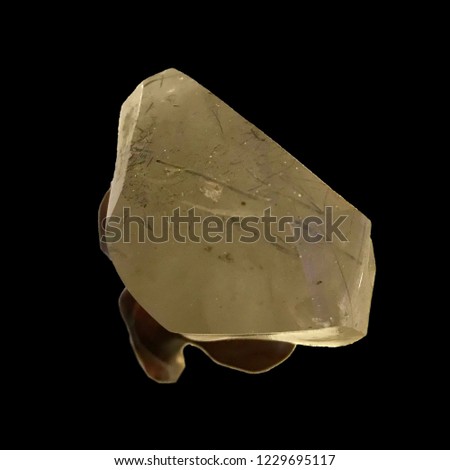 White rutilated quartz is standing on smoothed driftwood