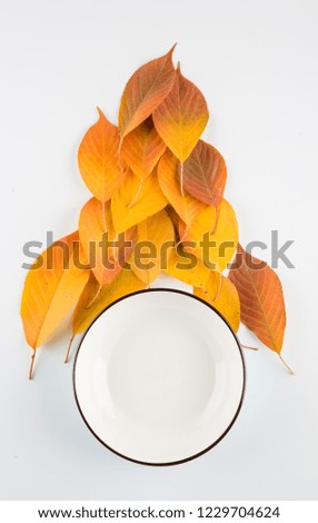 Empty bowl and autumn leaves on white. Autumn food concept