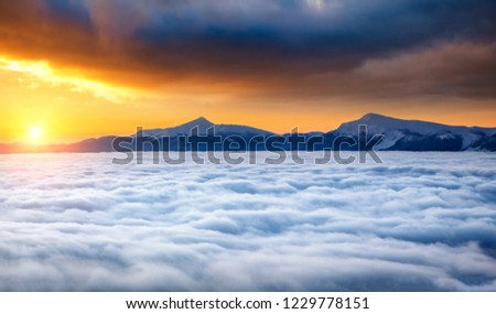 Fantastic air view of the valley covered with dense fog. Location Carpathian mountain, Ukraine, Europe. Magical wintry scene. Fabulous winter wallpaper. Happy New Year! Discover the beauty of earth.