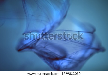 Inspiration by nature. Swirl of paint, nature pattern, ink, painting, patterns in the water, patterns of ocean circulation. Ocean, sea, water. Underwater miracle. Luminescent. Background, wallpaper. 