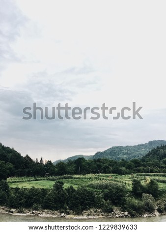 Carpathian mountain and nature