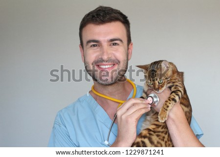 Funny picture of vet and bengal cat