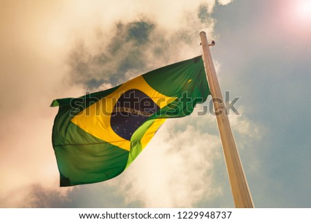 Brazil national flag  Royalty-Free Stock Photo #1229948737