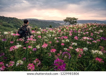 The man standing in flowers field on the mountains with sunrise. Travel to the mountains for the weekend.