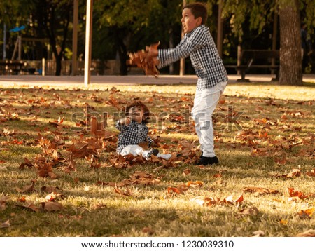 Two brother boys playing with the leaves of the trees fallen on the ground in a park in autumn